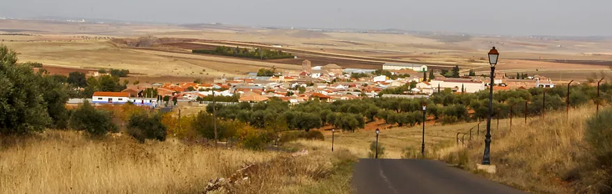 Vista del pueblo desde un camino.
