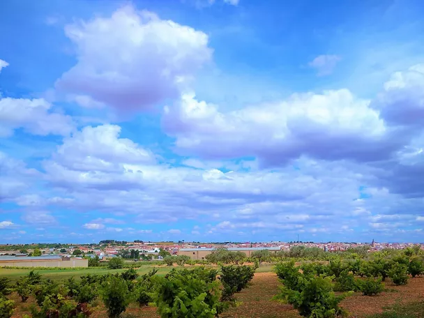 Vista panorámica de viñedos y núcleo urbano bajo un cielo con nubes