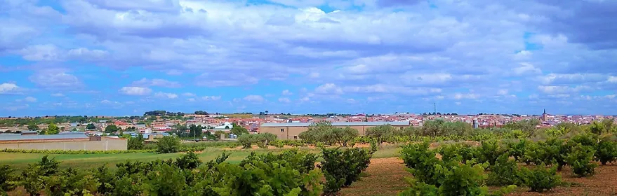 Vista panorámica de viñedos y núcleo urbano bajo un cielo con nubes