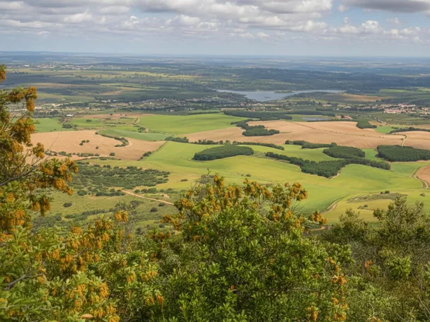 Panorámica de campos agrícolas y paisaje llano desde un mirador