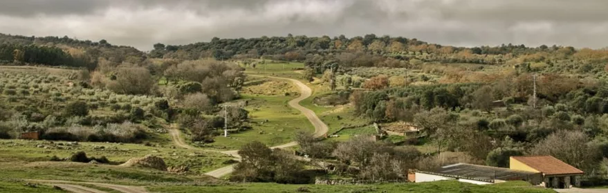 Paisaje rural con caminos y colinas verdes bajo cielo nublado