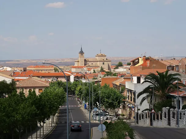 Vista panorámica urbana con avenida arbolada y torre religiosa al fondo