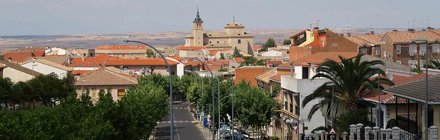 Vista panorámica urbana con avenida arbolada y torre religiosa al fondo