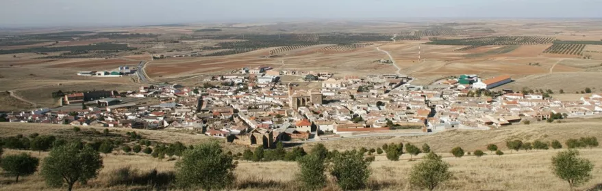 Vista panorámica del casco urbano rodeado de campos abiertos