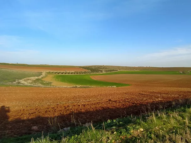 Paisaje agrícola de campos arados y zonas verdes bajo cielo despejado