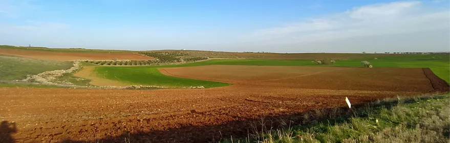 Paisaje agrícola de campos arados y zonas verdes bajo cielo despejado