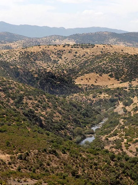 Valle con río entre colinas cubiertas de matorral