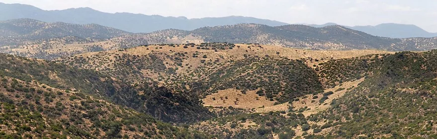 Valle con río entre colinas cubiertas de matorral
