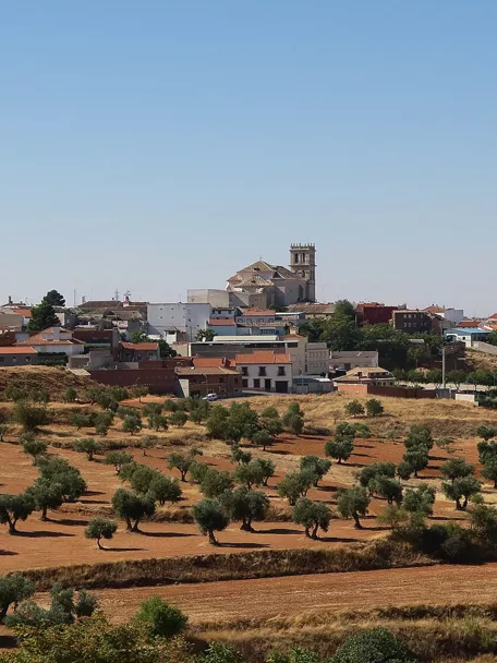 Vista panorámica de un pueblo rodeado de campos de olivos.