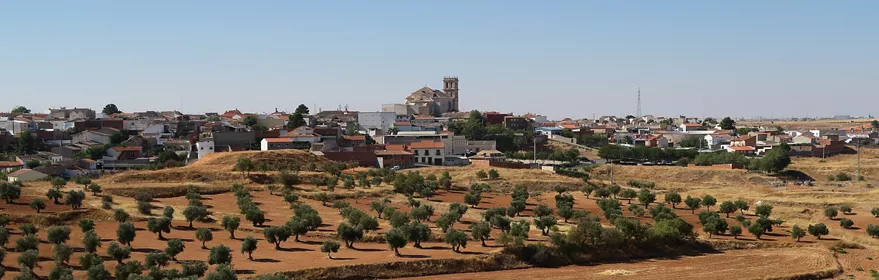 Vista panorámica de un pueblo rodeado de campos de olivos.