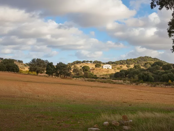 Panorámica de la localidad de Viveros en Albacete