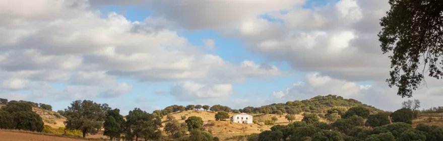 Panorámica de la localidad de Viveros en Albacete