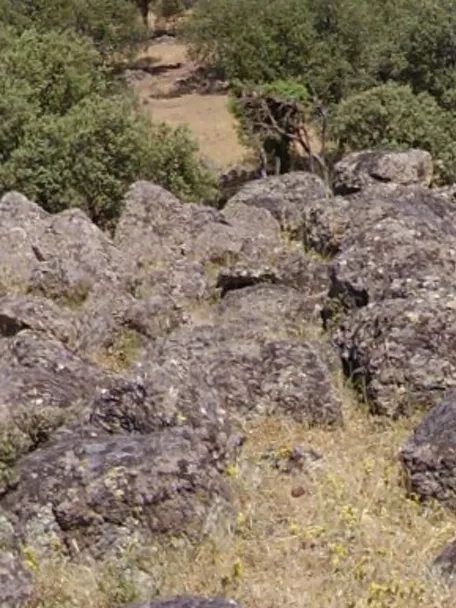 Campo de rocas volcánicas entre encinas y pastizales secos