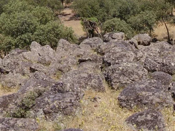 Campo de rocas volcánicas entre encinas y pastizales secos