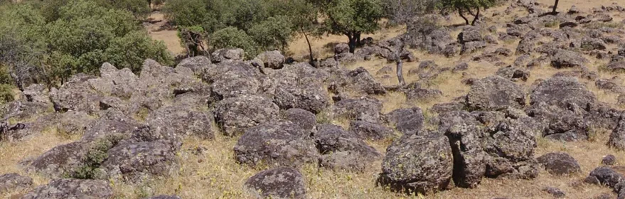 Campo de rocas volcánicas entre encinas y pastizales secos