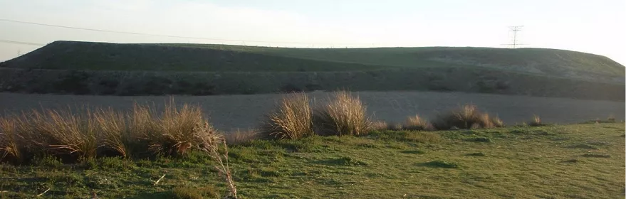 Paisaje de loma suave con vegetación baja y horizonte abierto.