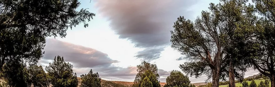 Ruinas arqueológicas sobre colina arbolada.