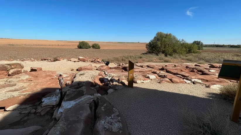 Detalle de rocas grabadas junto a panel informativo en entorno rural abierto.
