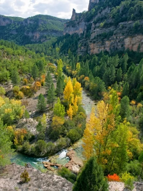 Valle fluvial con bosque y colores otoñales
