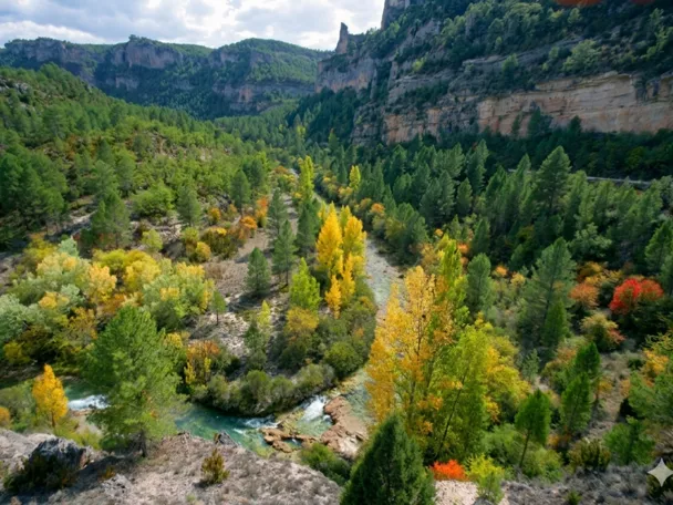 Valle fluvial con bosque y colores otoñales