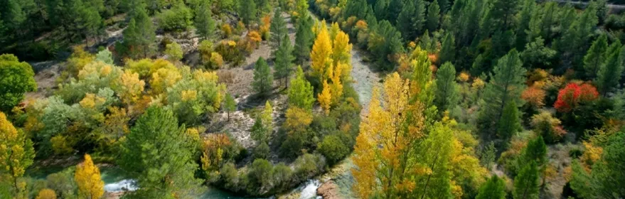 Valle fluvial con bosque y colores otoñales