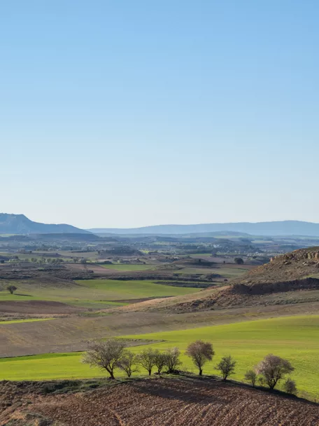Paisaje agrícola con colinas y campos verdes