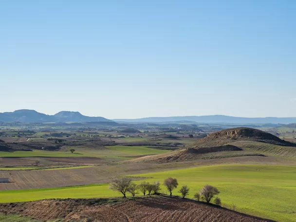 Paisaje agrícola con colinas y campos verdes