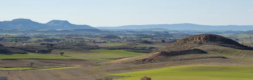 Paisaje agrícola con colinas y campos verdes