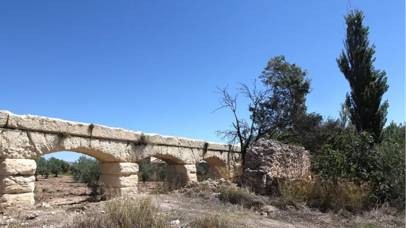 Vista lateral de arcos de piedra alineados entre árboles.