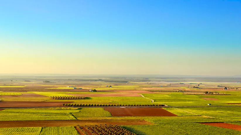 Vista de la llanura manchega desde los molinos de Alcázar de San Juan