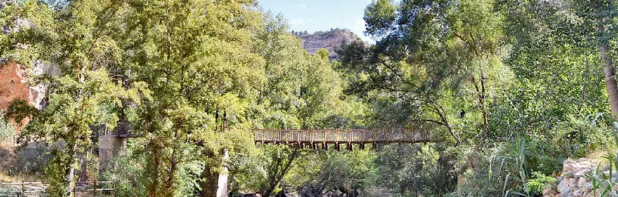 Imagen de un rio del coto