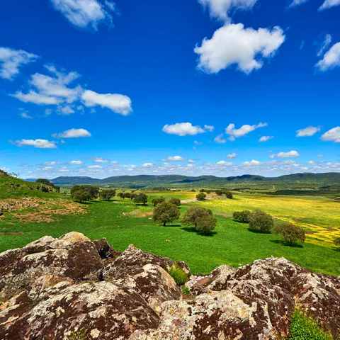 Paisaje del Valle de Alcudia en Almodóvar del Campo