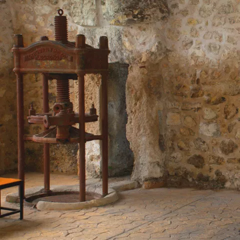 Imagen del interior de la almazara