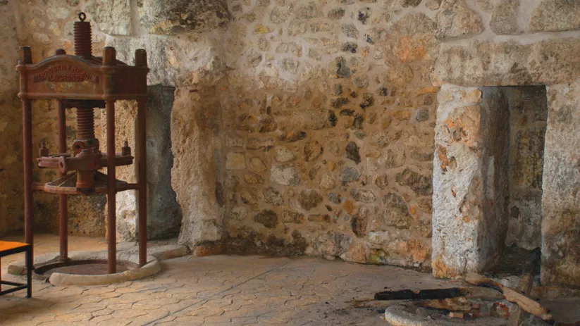 Imagen del interior de la almazara