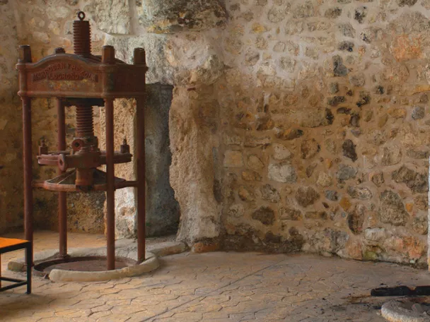 Imagen del interior de la almazara