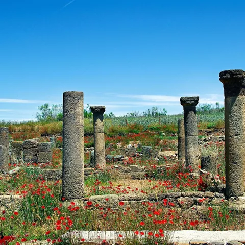 Imagen de las afueras de Almodóvar del campo un monumento