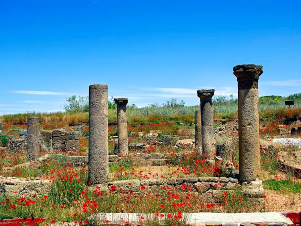 Yacimiento arqueológico de La Bienvenida, Almodóvar del Campo