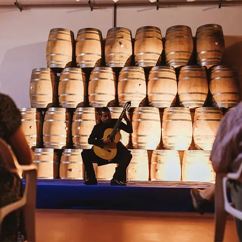 Concierto de guitarra en el festival Arte entre Gigantes
