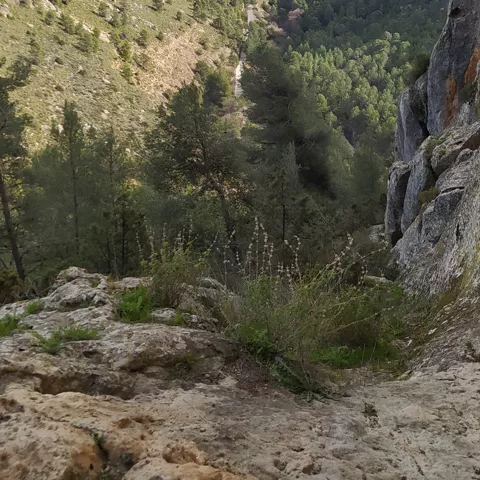 Imagen de las vistas desde Socovos