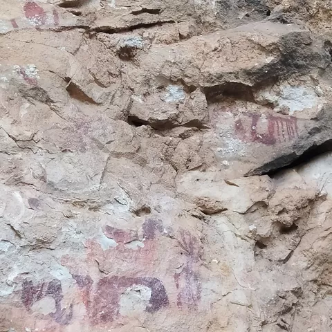 Imagen de cerca de varias pinturas rupestres de Socovos