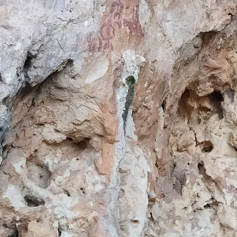 Imagen de una roca con arte rupestre 