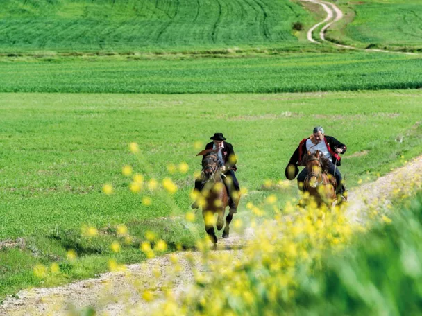 Jinetes al galope durante la Caballada de Atienza