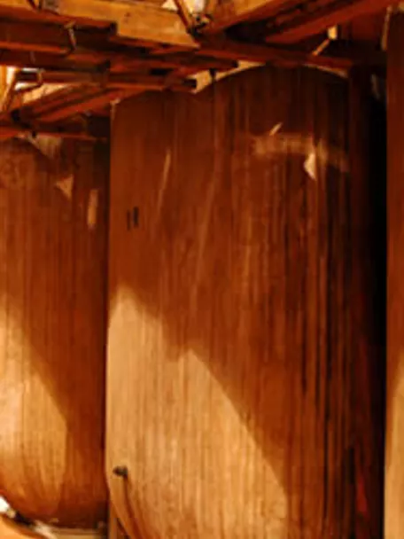 Enogastronomía Castilla-La Mancha