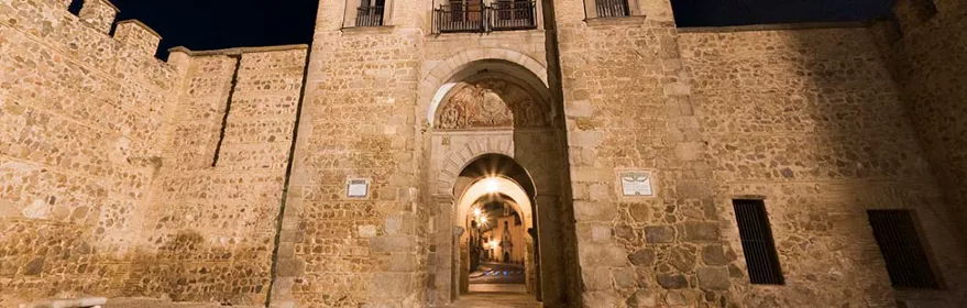 Imagen de Puerta de Bisagra de noche