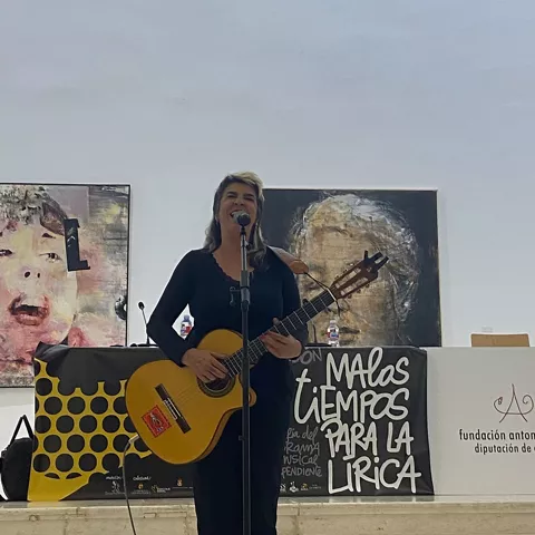 Malos Tiempos para la Lírica, festival musical