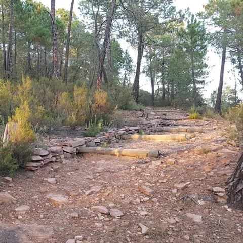 Camino hacia el abrigo rupestre del Tío Modesto en Henarejos