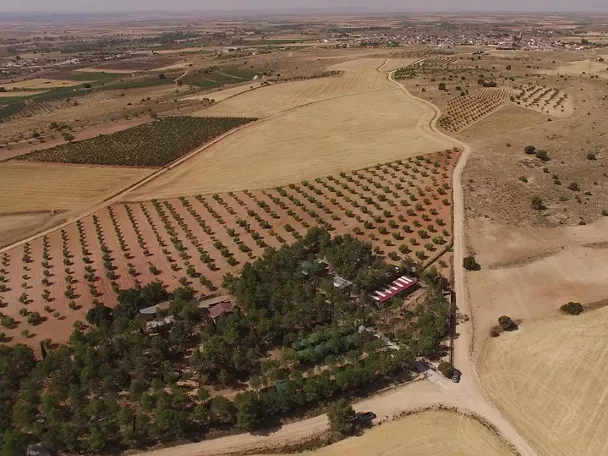 Vista aérea de campos agrícolas y caminos rurales