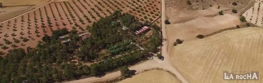 Vista aérea de campos agrícolas y caminos rurales