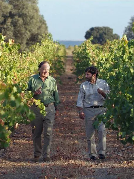 Enogastronomía Castilla-La Mancha