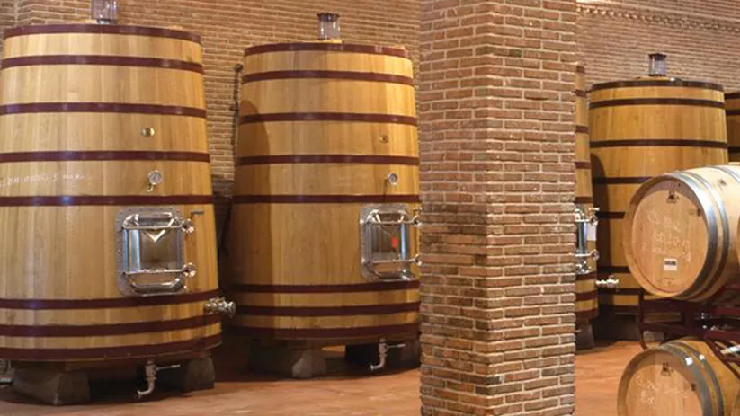 bodega-dehesa-el-carrascal-barricas.jpg